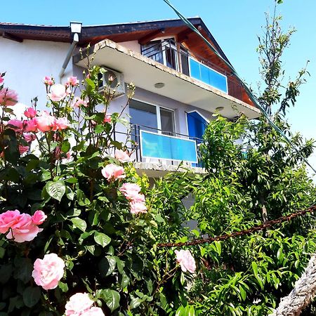 Villa Rezos Rezovo Bagian luar foto